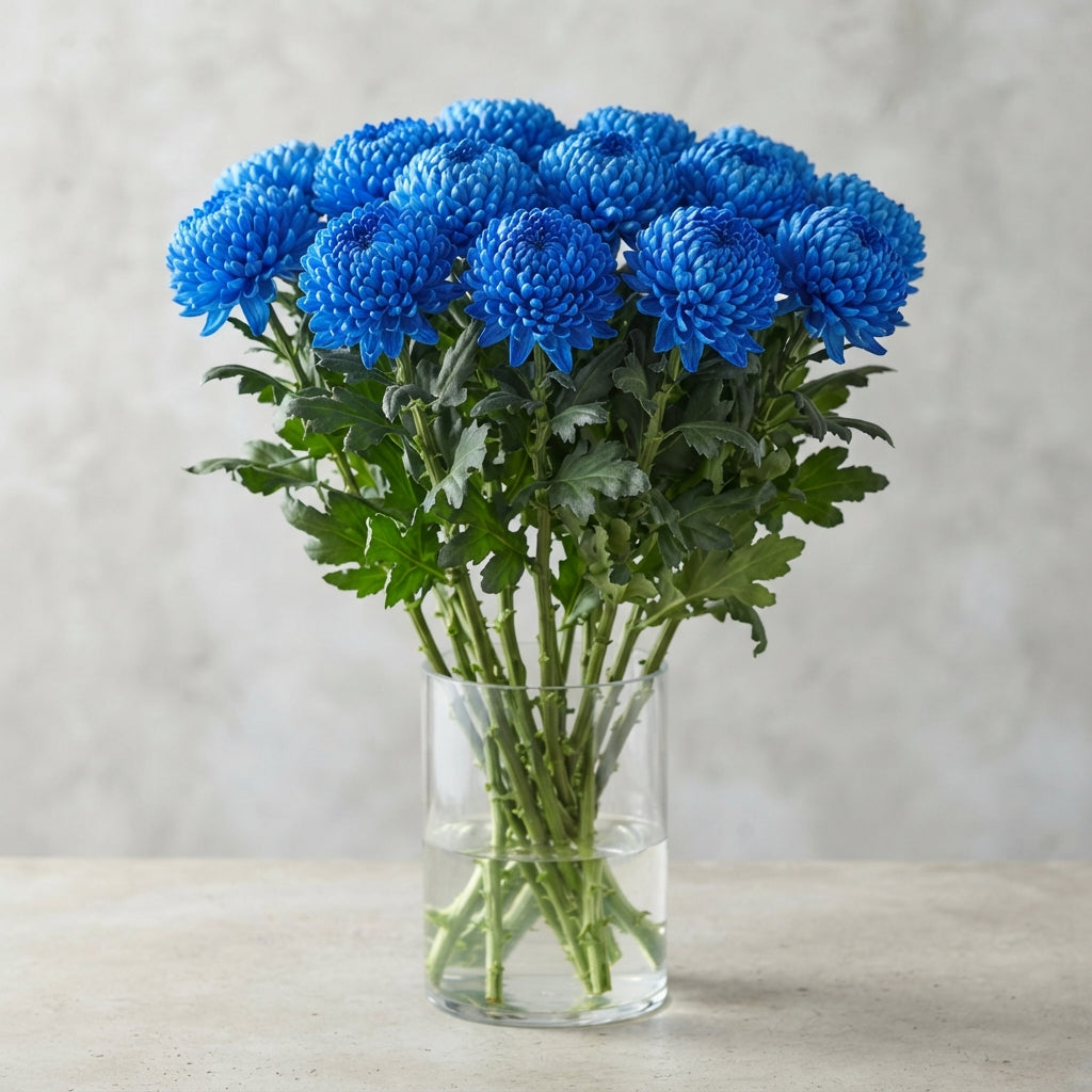 FeedSync:wholesale:dc2a4e0a5add45fbc713ed63e0d7fc3d77a4d6dd