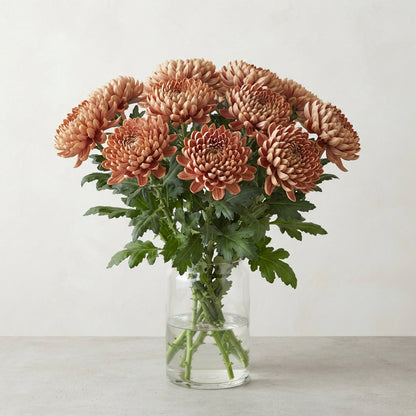 FeedSync:wholesale:e5fdf50d265ef86b315cdec7078f90a22094daa0