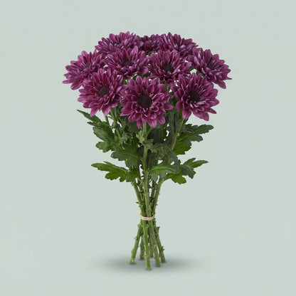 FeedSync:wholesale:eff5b2713b170a3e1effa2b05040d1ed7f911bae