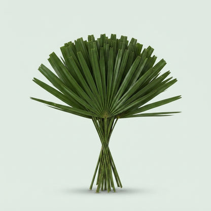FeedSync:wholesale:2d3d08618852d706f715c7f0034b388872211bbf