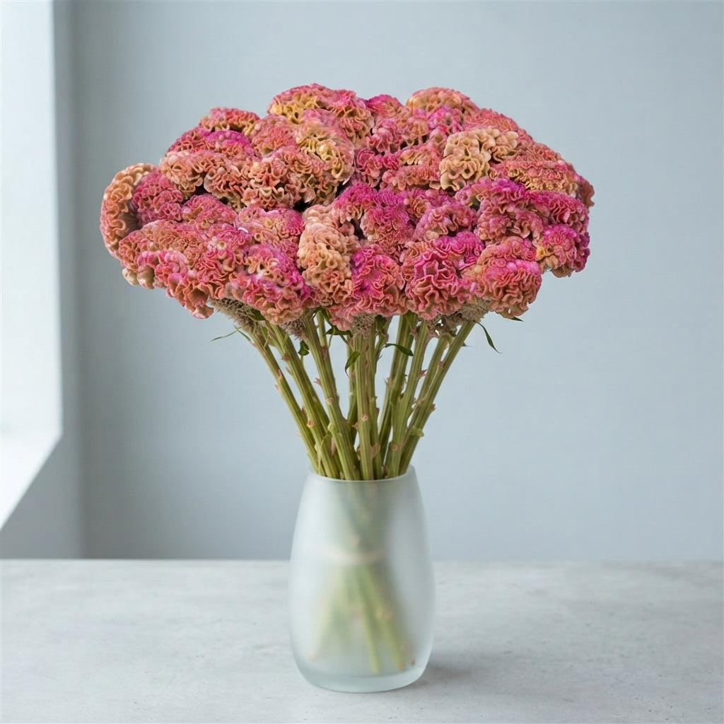 FeedSync:wholesale:b56934092500b049aba1922cfbe0f97f9ee47779