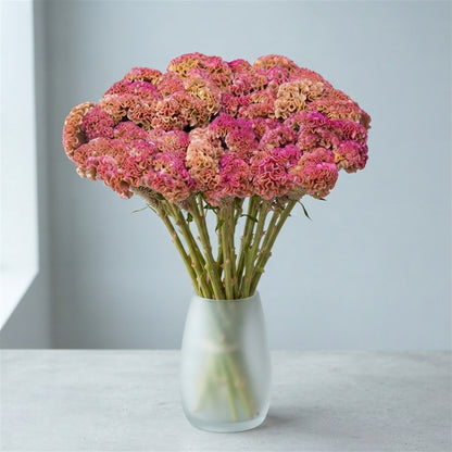 FeedSync:wholesale:b56934092500b049aba1922cfbe0f97f9ee47779