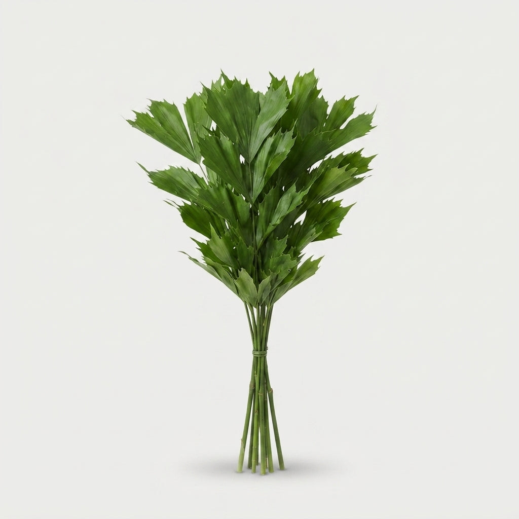FeedSync:wholesale:426ac50d08af1a0a2560593537c0490d85d44a01