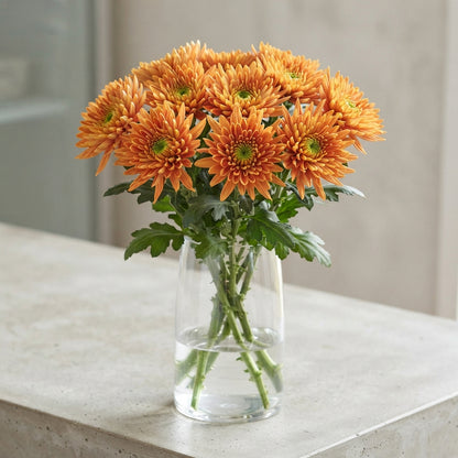 FeedSync:wholesale:2d75478c963faf72b5718599a1e37803e2ad91a3