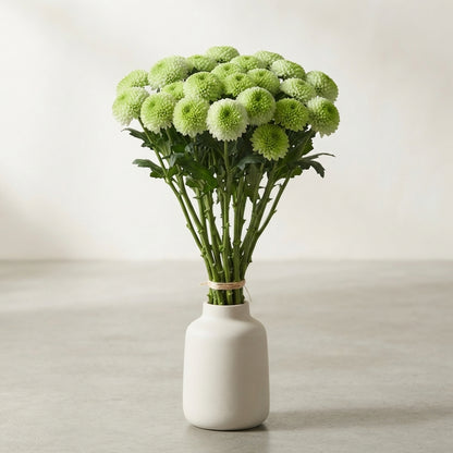 FeedSync:wholesale:518686f37131fd6a140435d51a4bdf5ca1a98c56