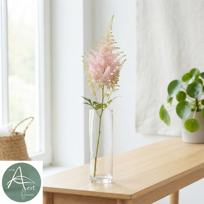 Pink Astilbe ‘Europa’ – 60cm Stems