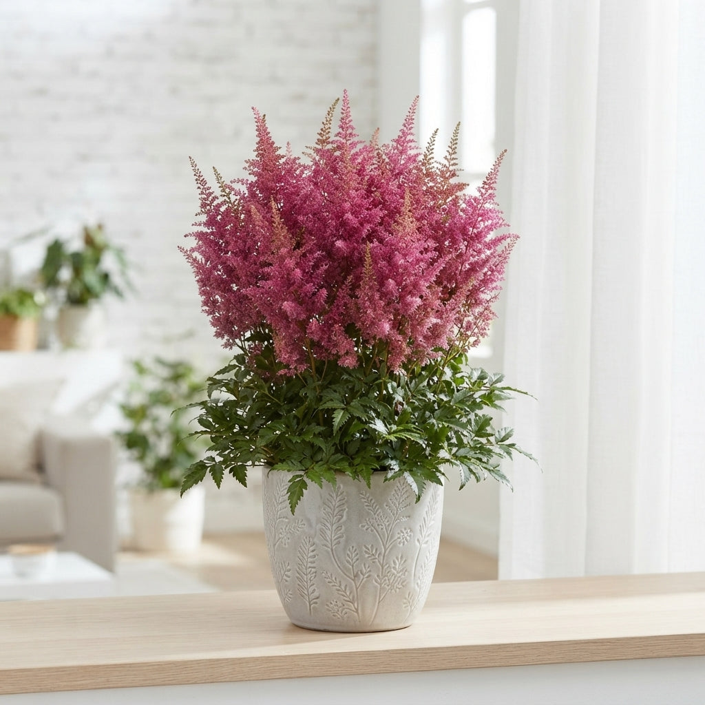 FeedSync:wholesale:83690ab79d9642267b745df4db58b00e200b0cd7