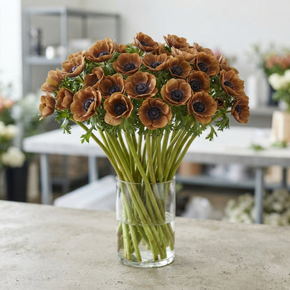FeedSync:wholesale:3df185d7066590ca922f854dadb2a63f5187f224