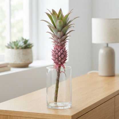 Pink Ananas Nina – 40cm Stems