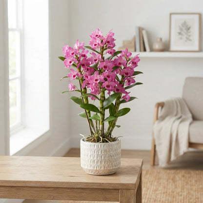 FeedSync:wholesale:cb2012ba9bb73a61d1ccc4c662dbe0c8e8789b30