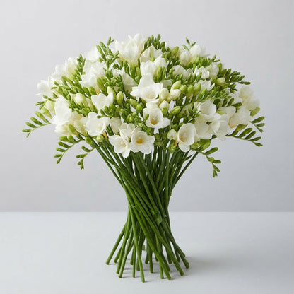 FeedSync:wholesale:c8c28ea67f993a298c8f7a95c030379f6dae5956