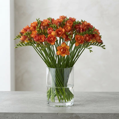 FeedSync:wholesale:127e837879a440ab7ede2491f996d668dd1e5326