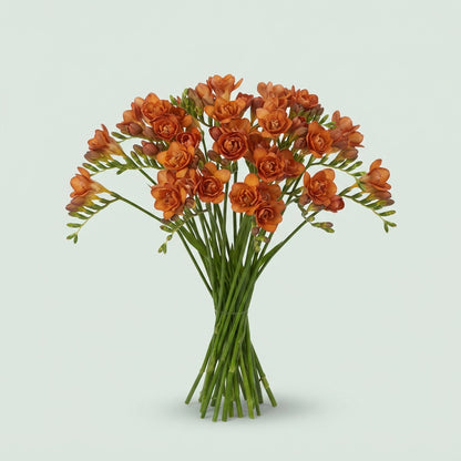 FeedSync:wholesale:57ff2ab8965219b58213cb859f02e4c89dabaa6c