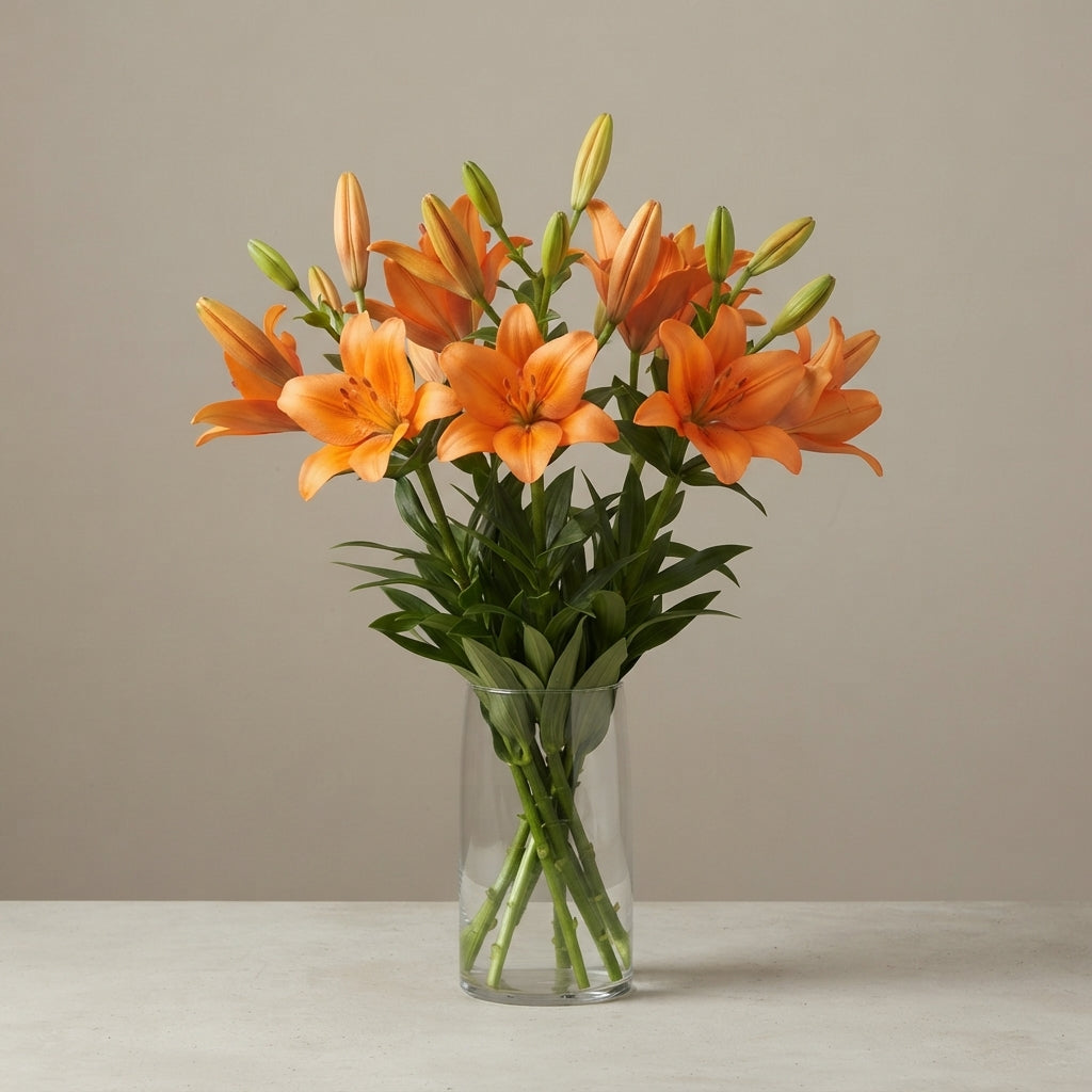 FeedSync:wholesale:5ec70b6b1c04bd07e5064c9fa3e2871379717077