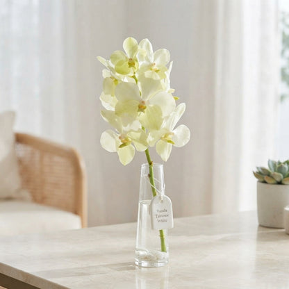 White Vanda Orchid Cut Stem – 20cm