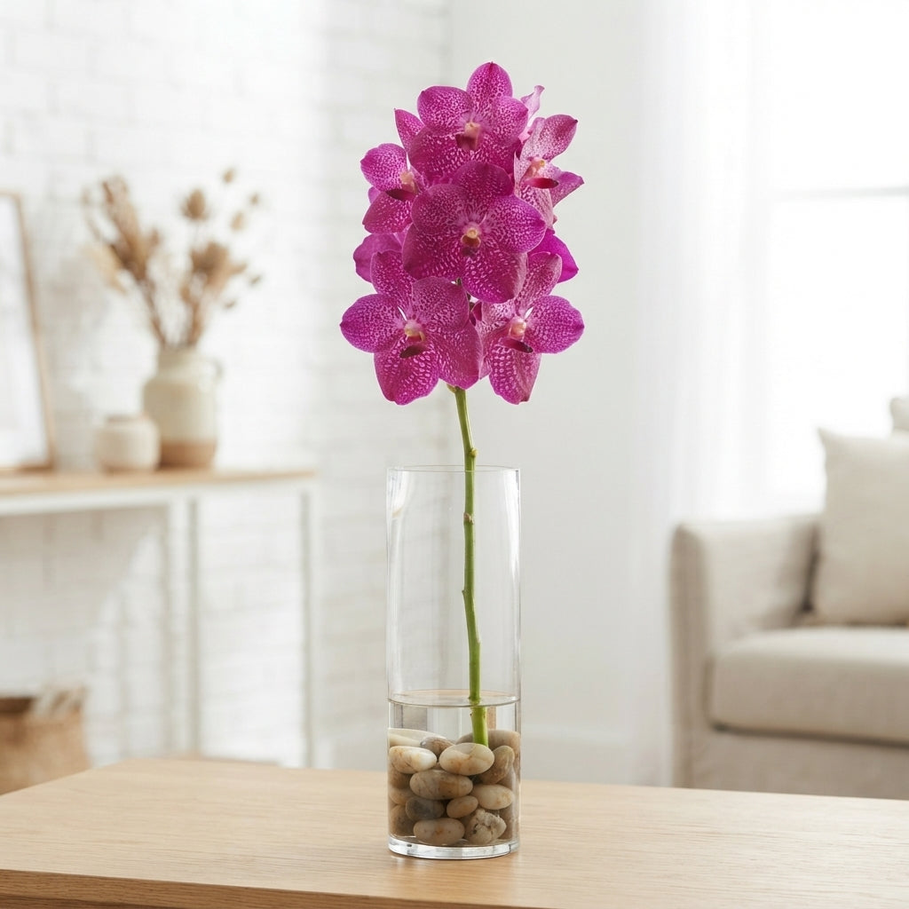 FeedSync:wholesale:a8a378265a021247bc1886eb326d4074d879ca7d