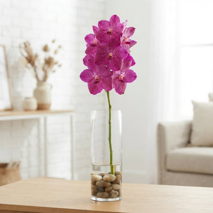 FeedSync:wholesale:a8a378265a021247bc1886eb326d4074d879ca7d