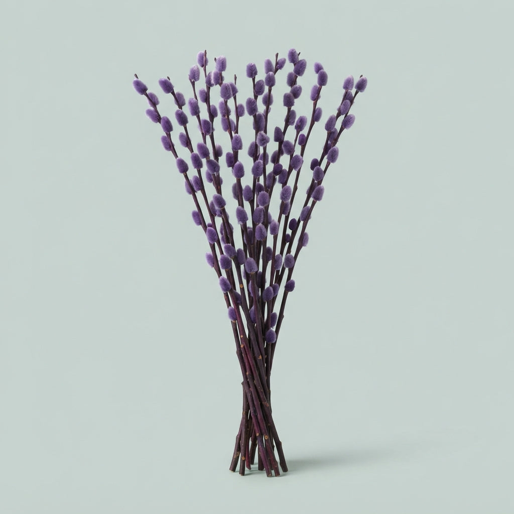 FeedSync:wholesale:f2cd9afe14971d96504500612114efb489730efe