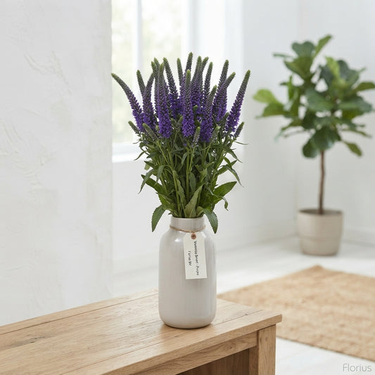 Assorted Veronica Cut Stems – 60cm