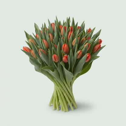 FeedSync:wholesale:68a67dcd89760bfb23fc4ae79bf107a28648f2cf