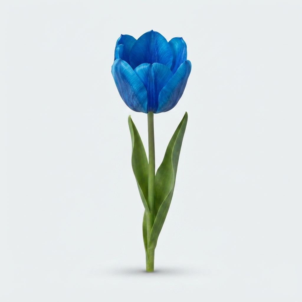 FeedSync:wholesale:a4fe3e959e0dce36e1f8518f8b74c5c8ec00ca67