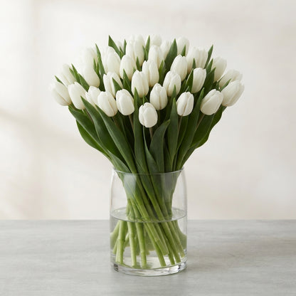 FeedSync:wholesale:345af5db70ba7ceac05296bebd0d814894d8ce1b