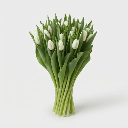 FeedSync:wholesale:07effe72c75ddf78ab188842442423094a542bc1