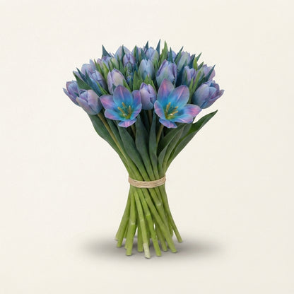 Blue Tulip ‘Bubblegum’ Tulipa – 50 Stems