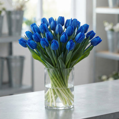 FeedSync:wholesale:116d9ad1d003e3c09decde74bb473c62d411b1f9