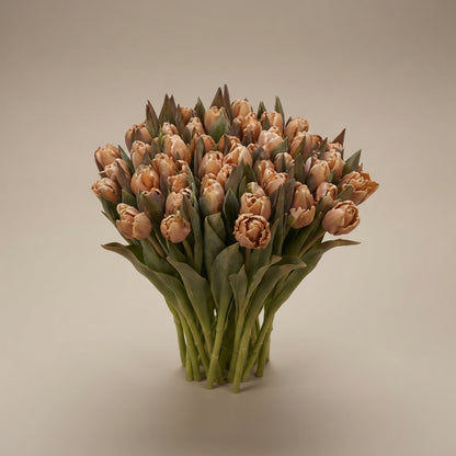 Tulipa Double Dyed Blue Tulips, 50 Stems