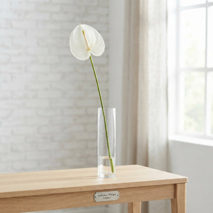 White Anthurium ‘Whisper’ – 40cm Stems