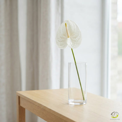 FeedSync:wholesale:b21634f0c993a13f42220bedd9b139db5a77e398