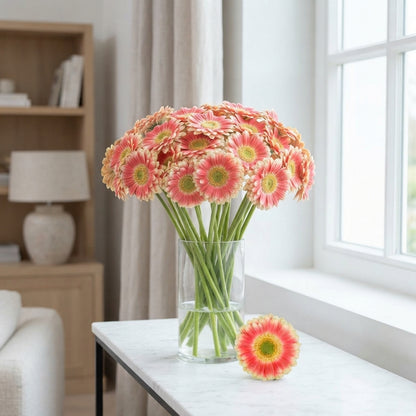Pink Germini ‘Tompouce’ – 50cm Stems