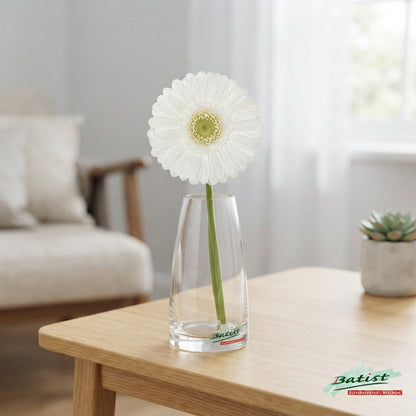 White Germini ‘Lobby’ Cut Flowers – 50cm Stems