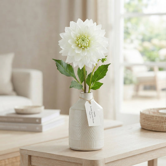 White Dahlia ‘Karma Maarten Zwaan’ – 60cm Stems