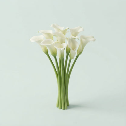 Calla Lily - Zantedeschia - Crystal Blush
