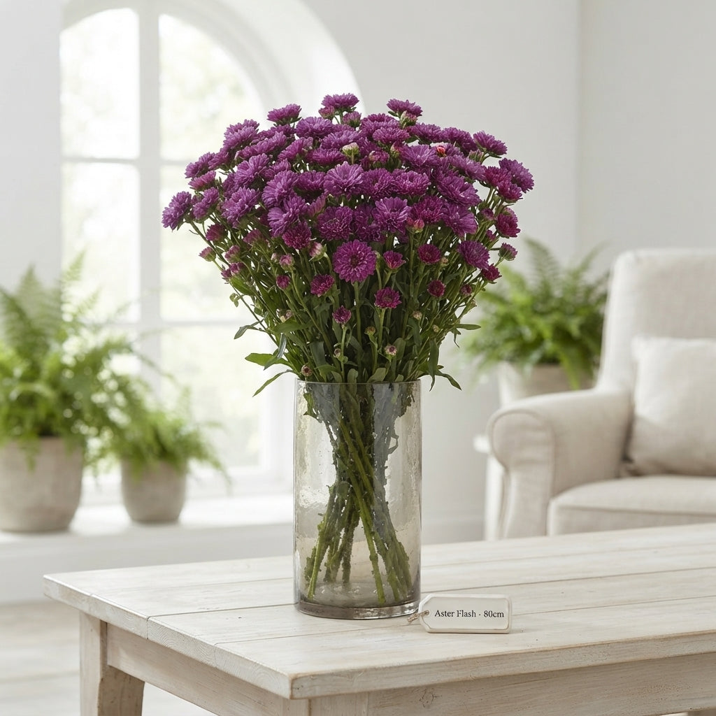 FeedSync:wholesale:6b9dd1ffdc4eb2bb8be93566848dacf6f013c106