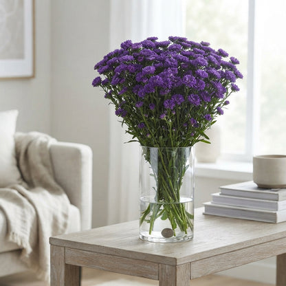 Blue Aster ‘Dark Milka’ Cut Flowers – 80cm Stems