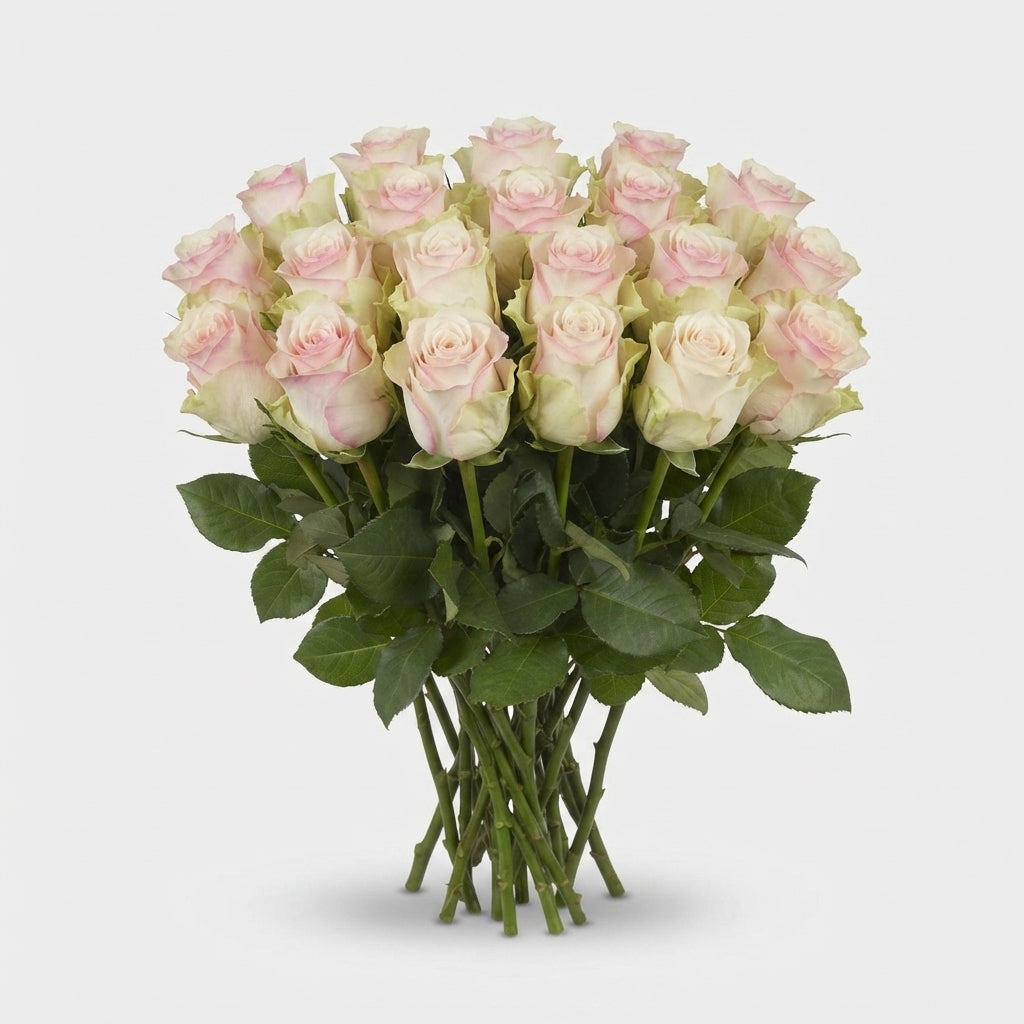 FeedSync:wholesale:b198ea628cfab9d1d24519f6090be5ac78212581