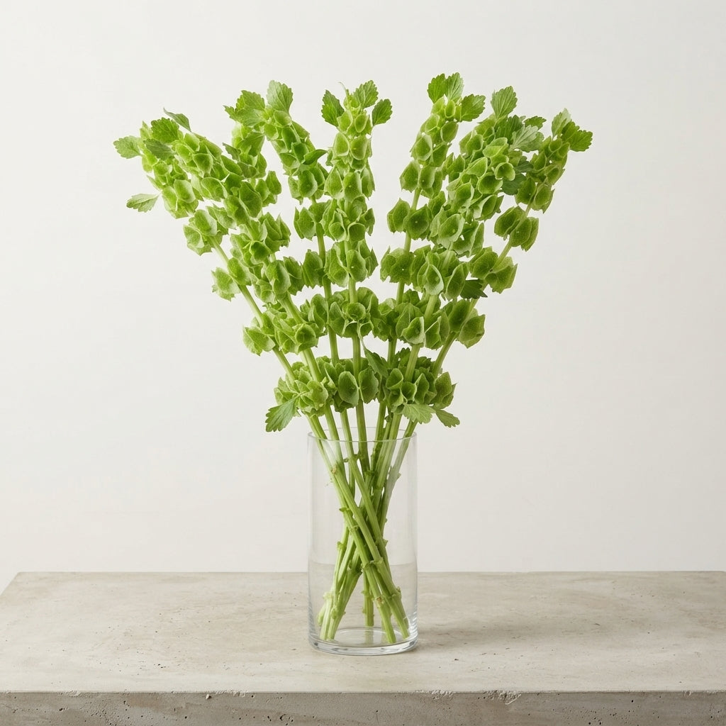 FeedSync:wholesale:8cbf3aa299719a1eecffd974f814fa115b062d87