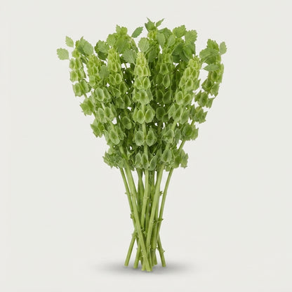FeedSync:wholesale:5b93653a5ecc499f042dc99bb912d6650ddd6e26