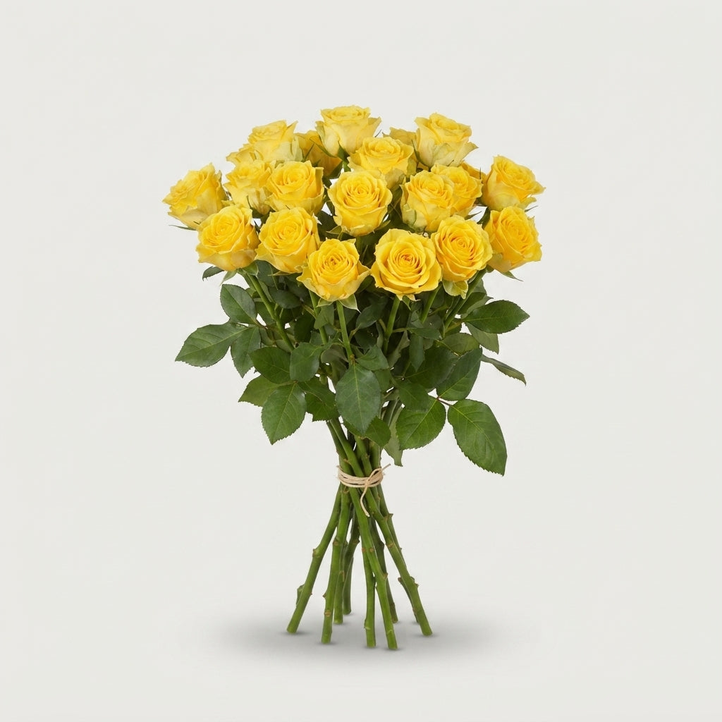 FeedSync:wholesale:e969e578e51924f0b8e2411ddd5351c3f91d3d65