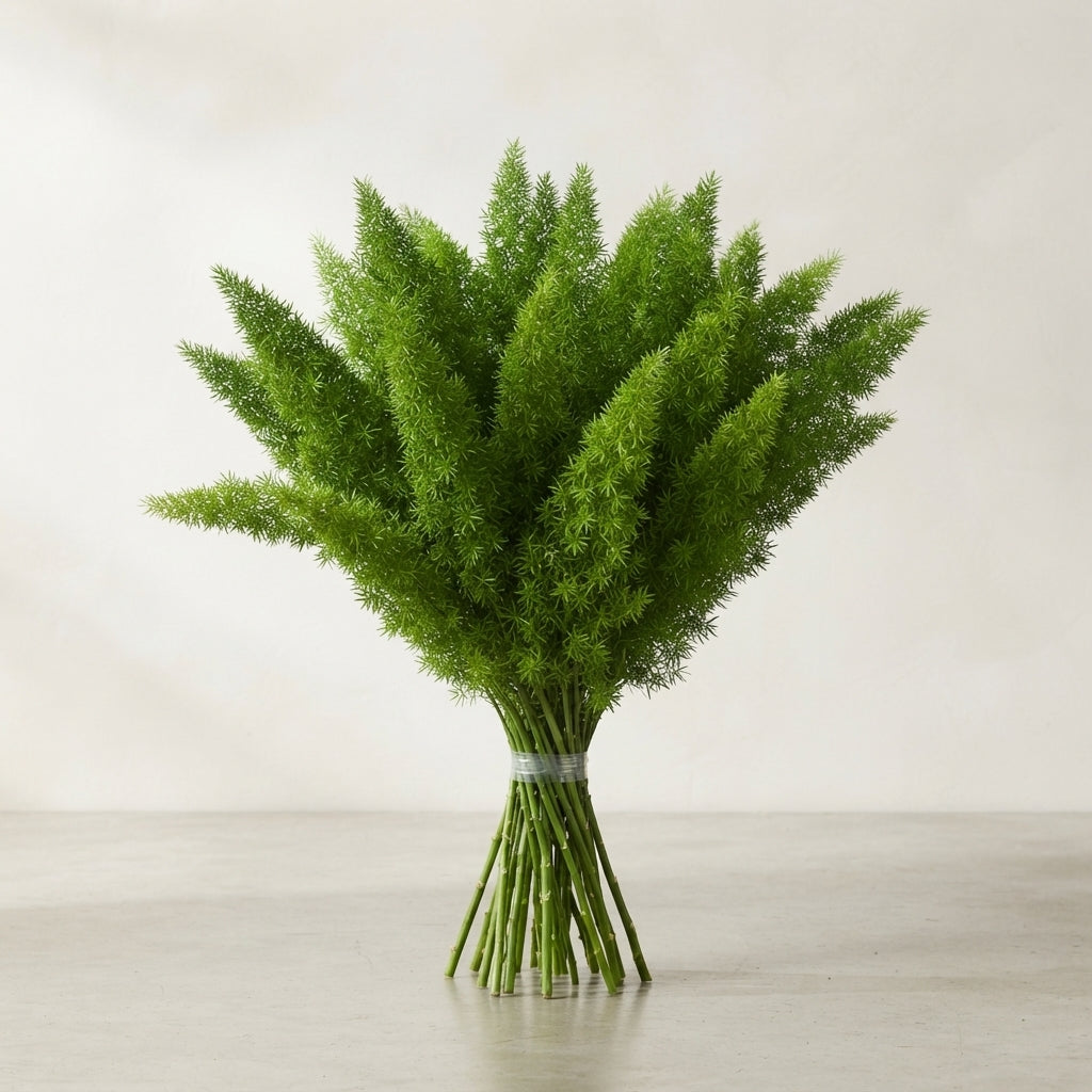 FeedSync:wholesale:c3aab6977e9cb04dd95609a3e5c45195bb8c4d1b