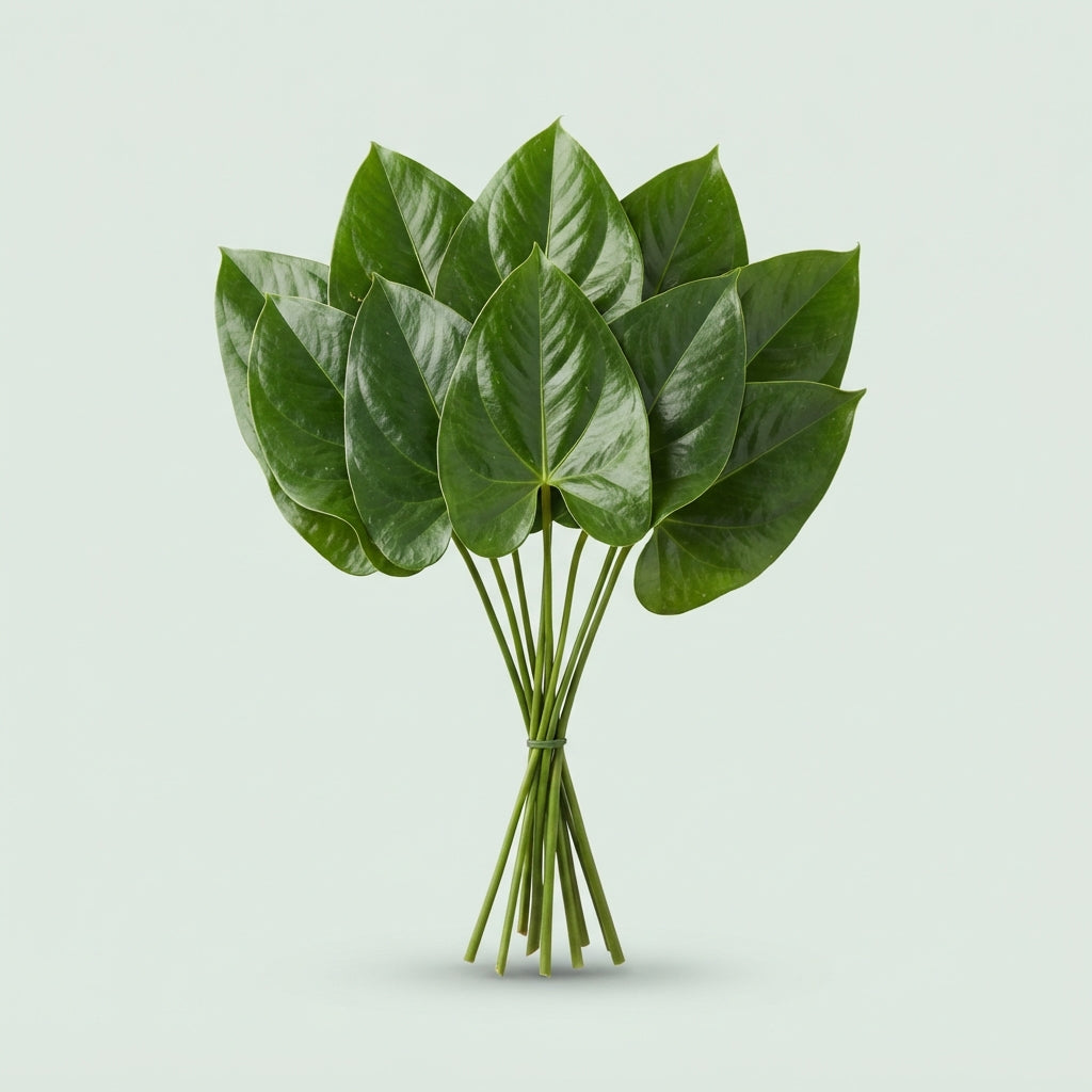 FeedSync:wholesale:7c1e9b32d04696b81eed3fd8d82d07869f12e032