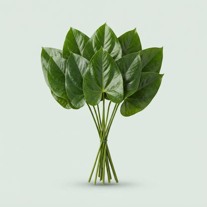 FeedSync:wholesale:7c1e9b32d04696b81eed3fd8d82d07869f12e032
