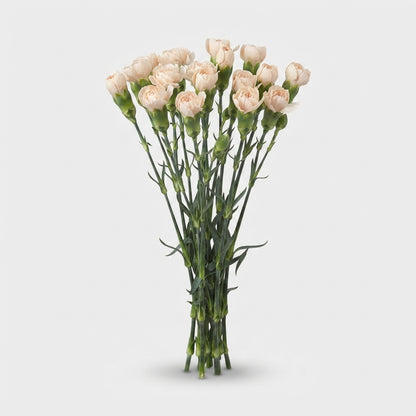 FeedSync:wholesale:929007179c47e921928e91e7493316b060cd8827
