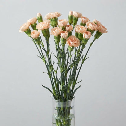 FeedSync:wholesale:74d2d400f4fc33c6d84779a09ebe0e21deb00f42