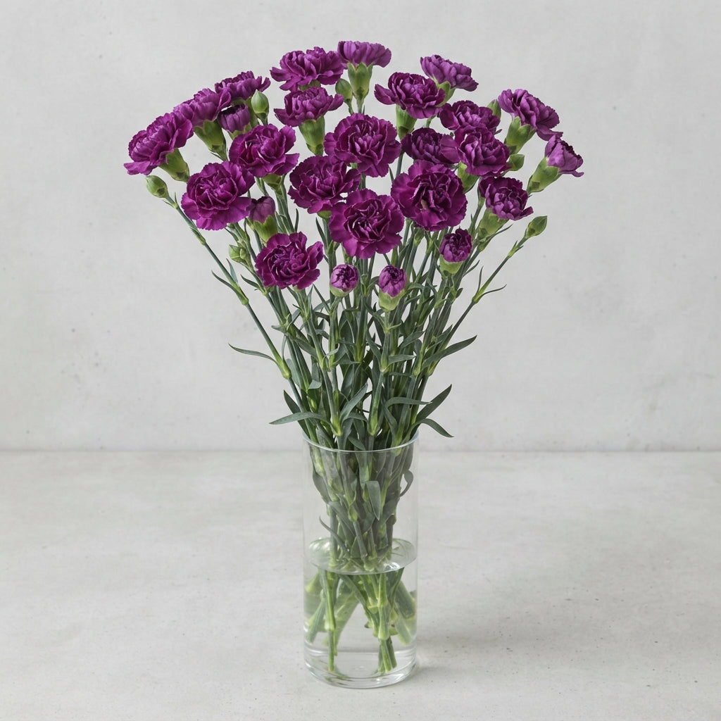 FeedSync:wholesale:138795d6c736bb407939dd01e90b5ec75a76f707