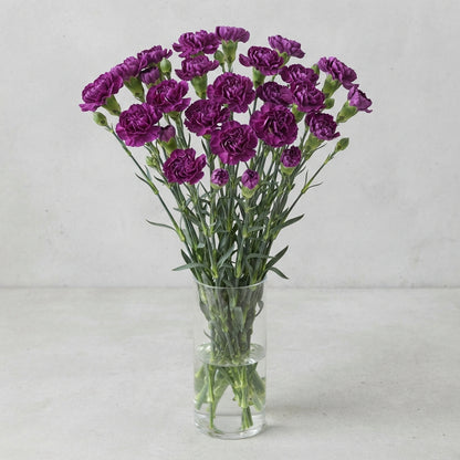 FeedSync:wholesale:138795d6c736bb407939dd01e90b5ec75a76f707