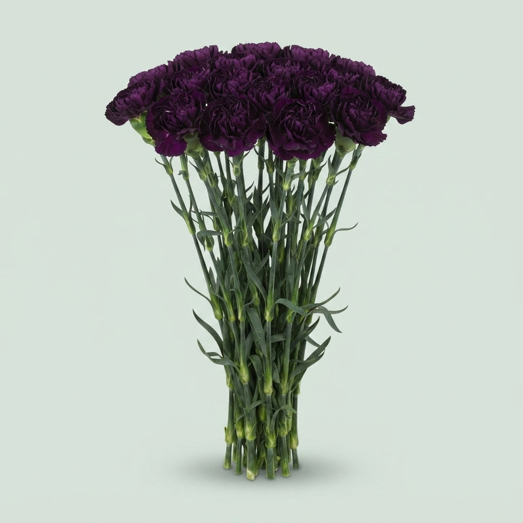 FeedSync:wholesale:6d01b273fcf688e490097f2ab7058394e4f89092